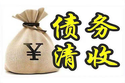 债务追偿强制执行申请流程